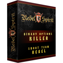 Binary Options System - Awesome New Rebel Spirit Trading System